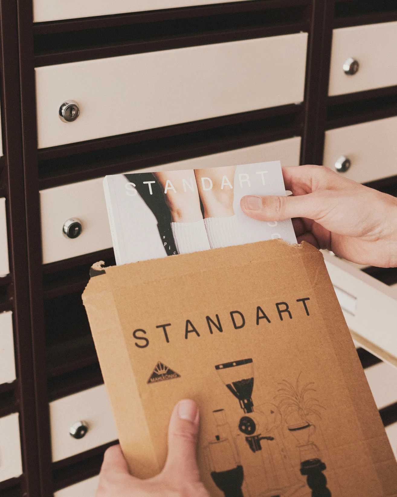 Get Your First Standart (With Free Shipping) - Image 2