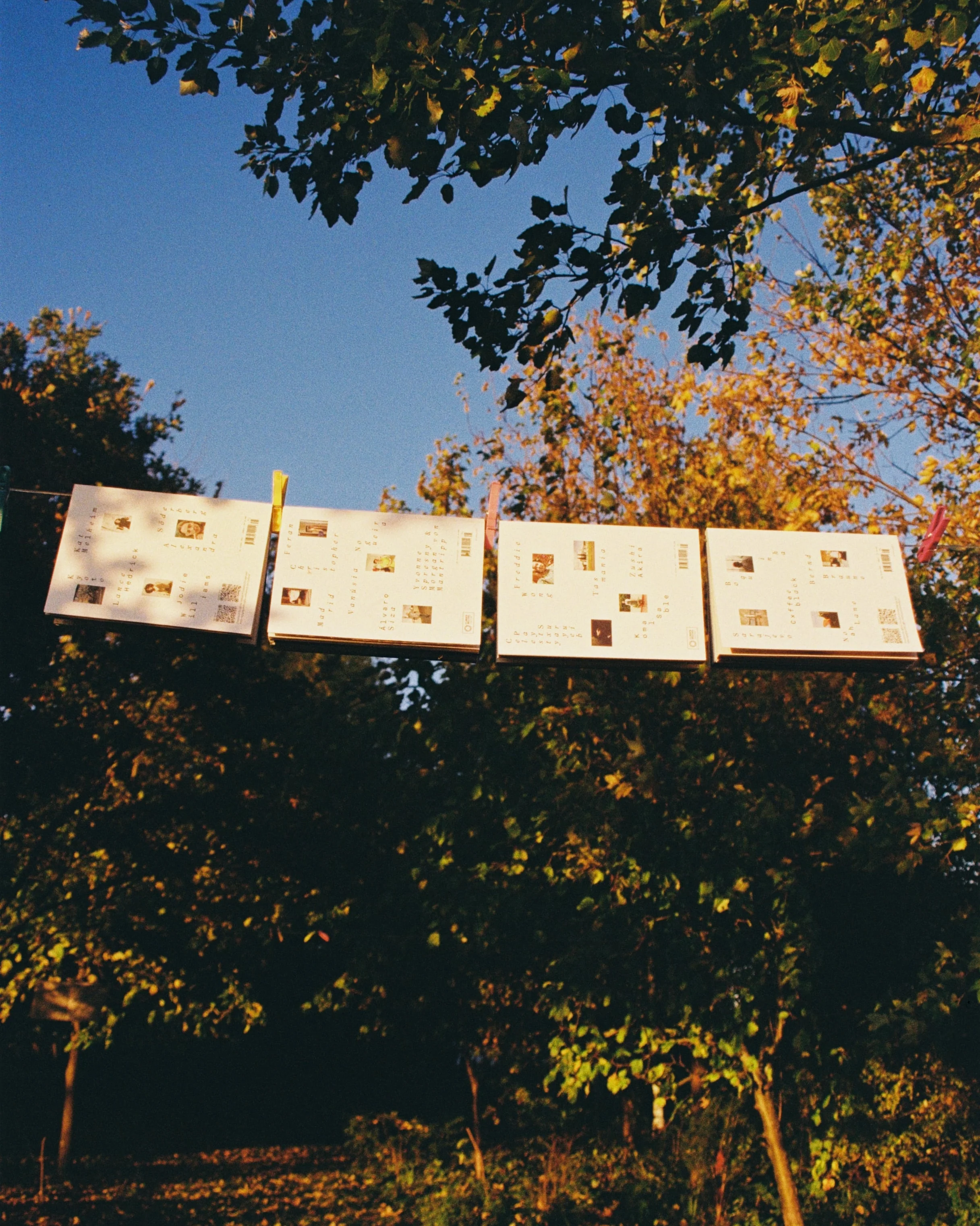 Standart Gift Card - Image 6