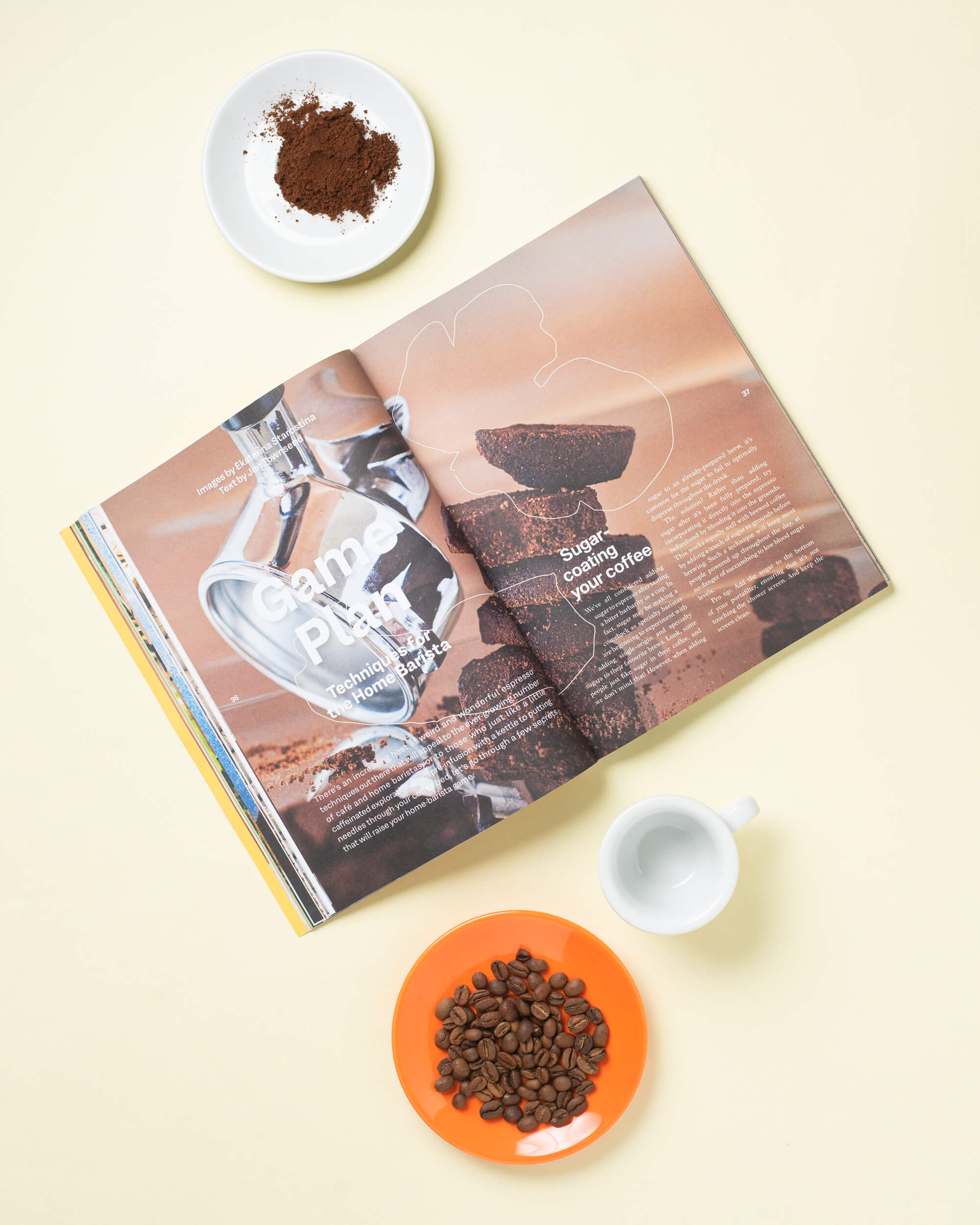 Issue 28: Opera, lions, and coffee - Image 3