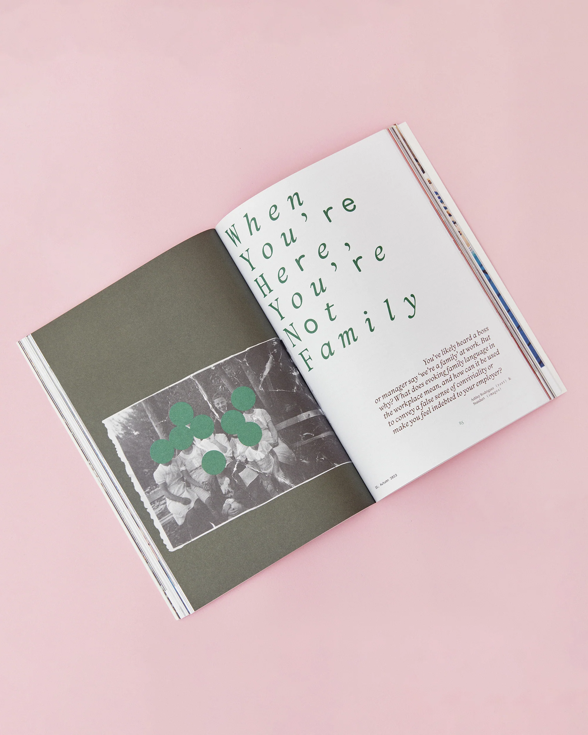 Issue 32: Plants, parents, and coffee - Image 3
