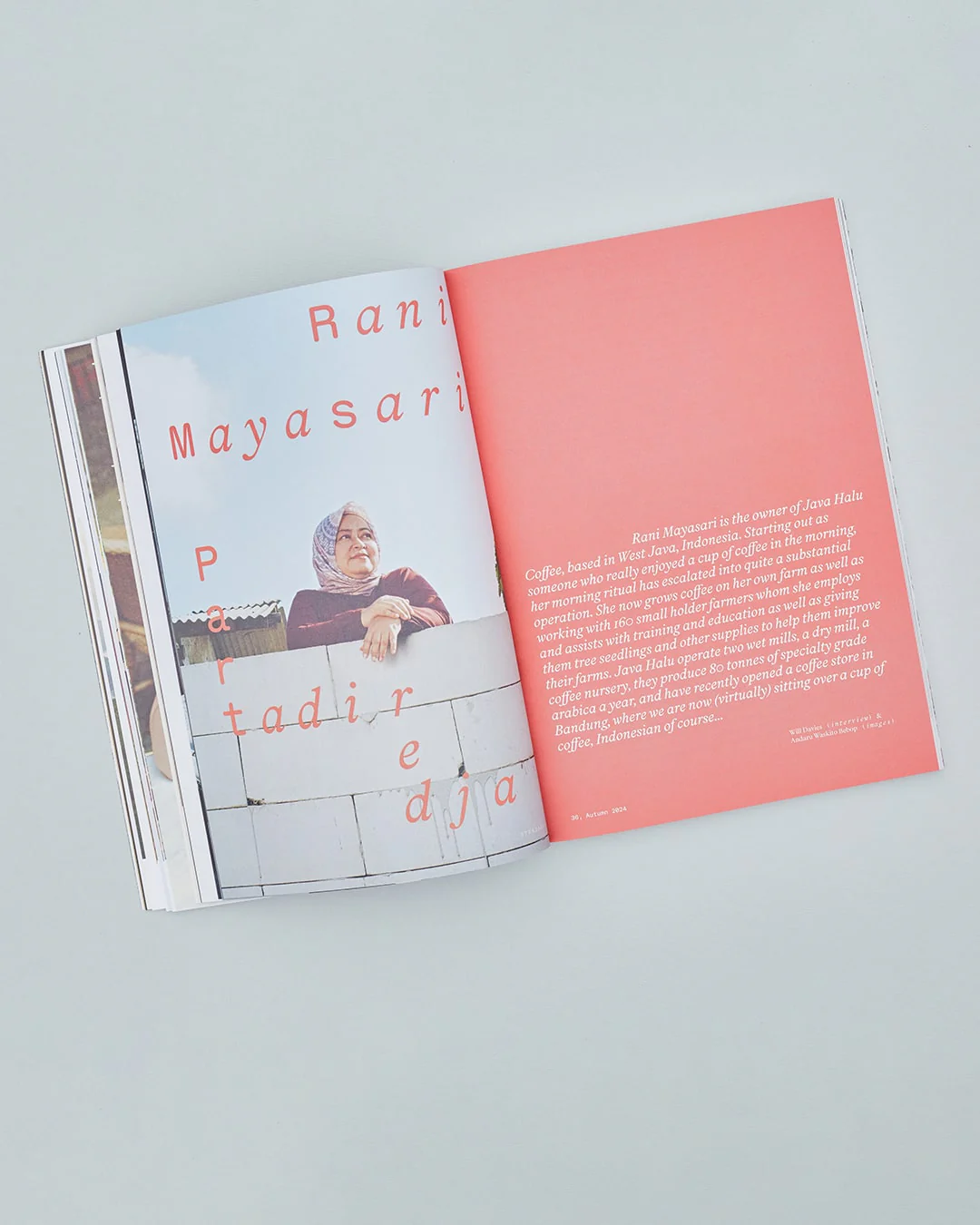 Issue 36: Ridges, Waves & Coffee - Image 3