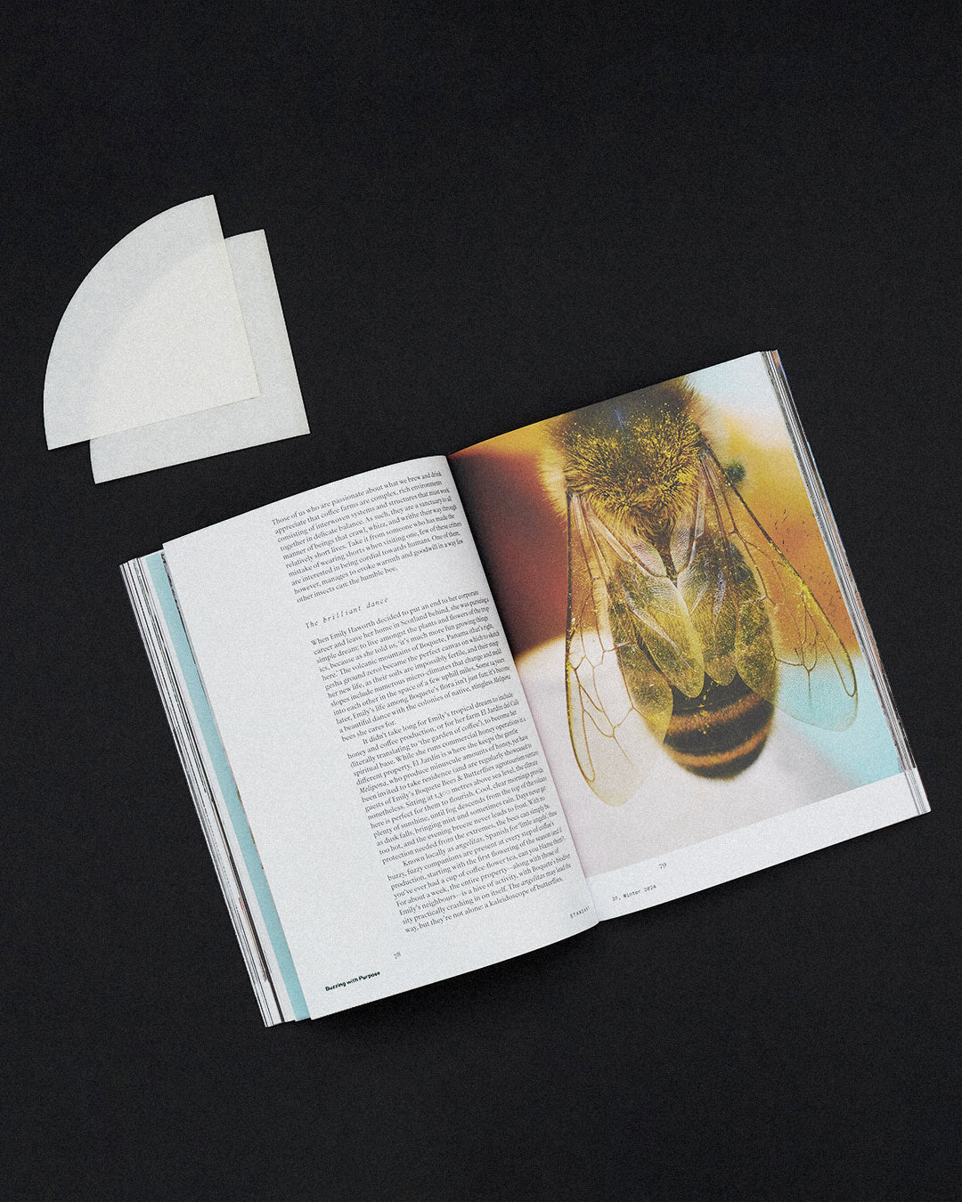 Issue 37: Dreams, Gossamer & Coffee - Image 5