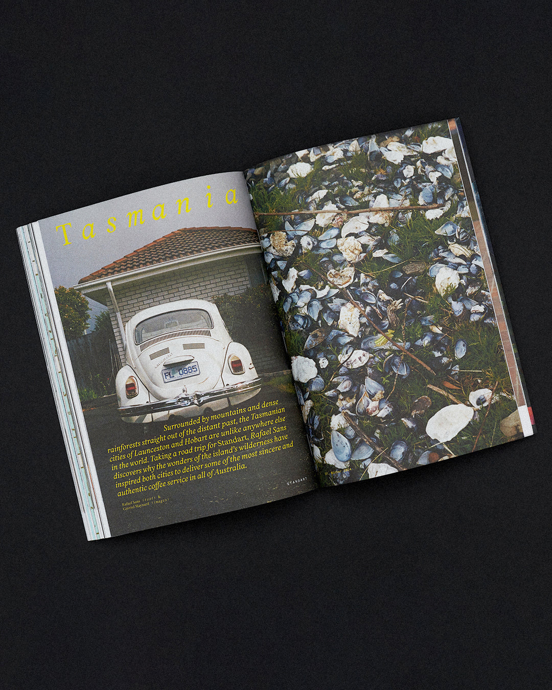 Issue 37: Dreams, Gossamer & Coffee - Image 6