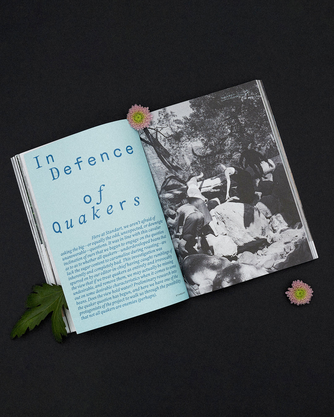 Issue 37: Dreams, Gossamer & Coffee - Image 8
