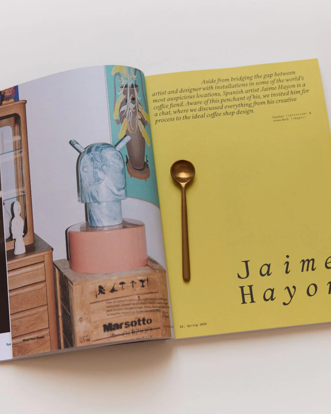 Standart Subscription - Image 9