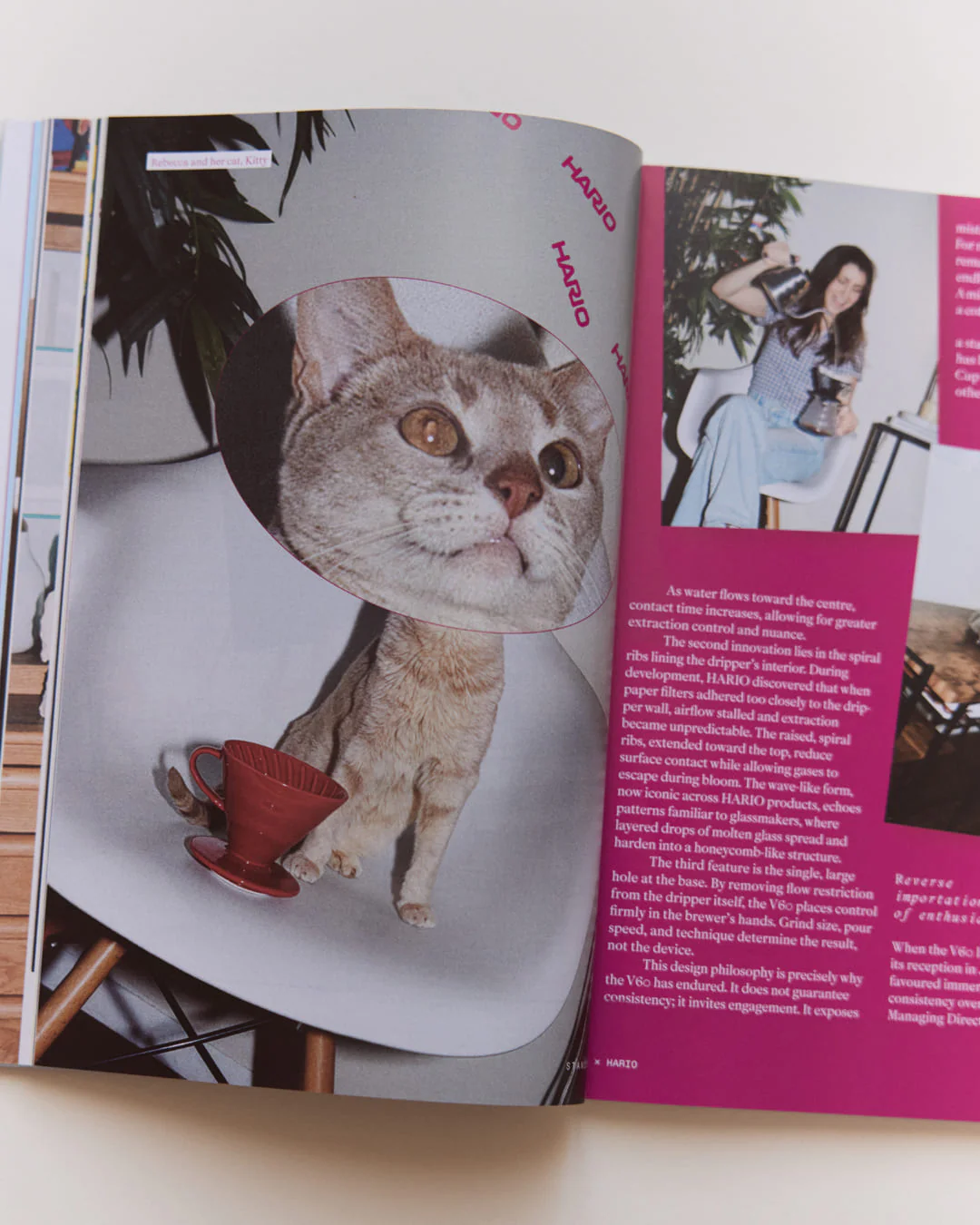 Standart Subscription - Image 6